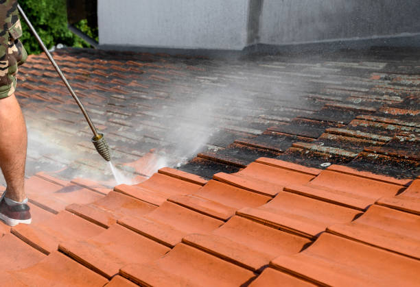 Best Roof Power Washing Services  in North New Hyde Park, NY