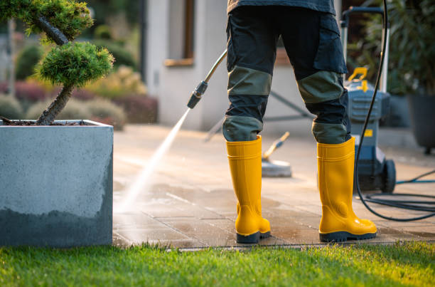Best Power Washing Near Me  in North New Hyde Park, NY